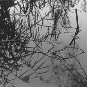 antony_R-2830788-1302980369