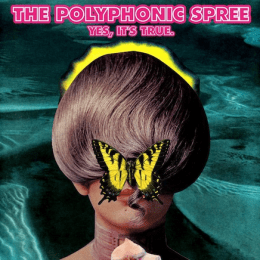 polyspree+true-260x260