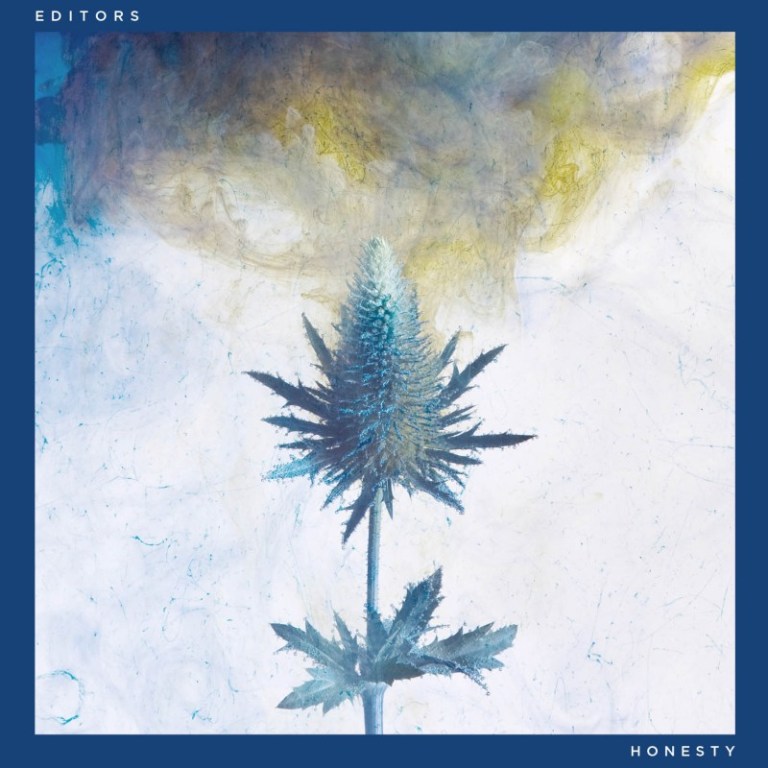 Honesty-packshot-800x800