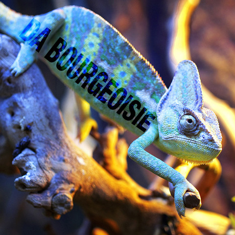 PRINCE-DA_BOURGEOISIE_large