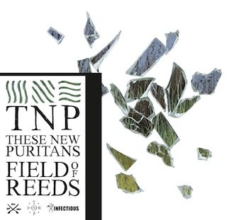 Field_of_Reeds