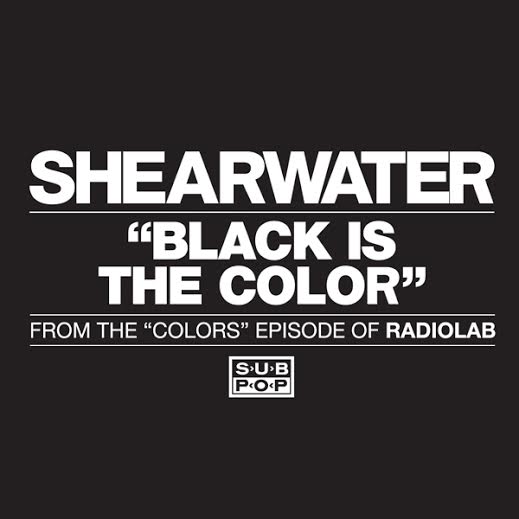 shearwater