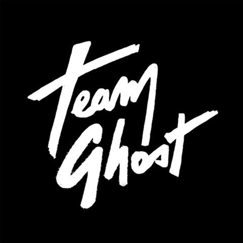 Logoteamghostwiki