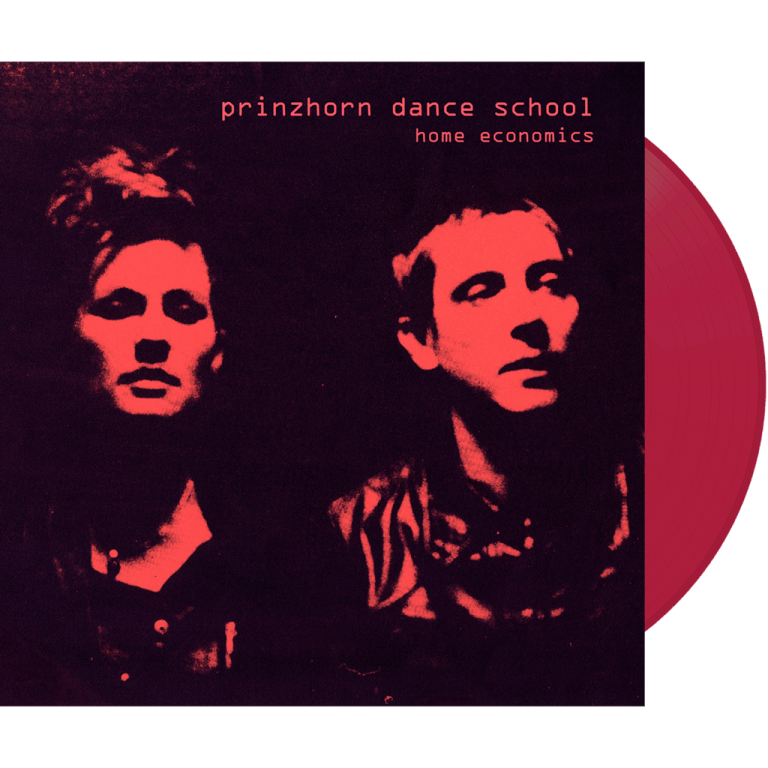 dfa2444_vinyl_packshot_1024x1024