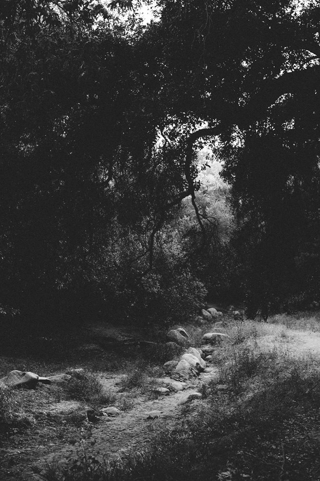 14601086_10153901595012765_1194425794521264717_n