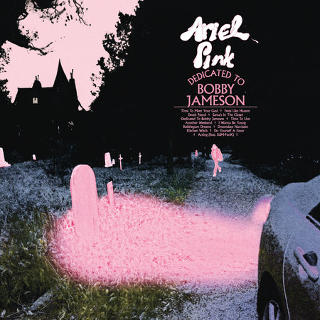 Ariel Pink – Time To Live (2017)